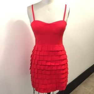 BB Dakota Dress